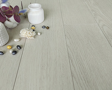 Дуб Утренняя Роса